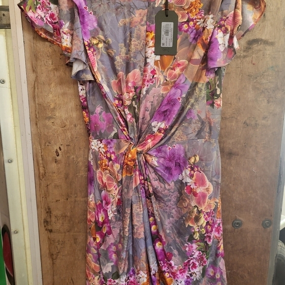 All Saints Jemille Lucia Dress 0 NWT silk - Picture 6 of 6